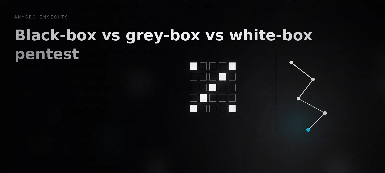 Black-box vs grey-box vs white-box pentest