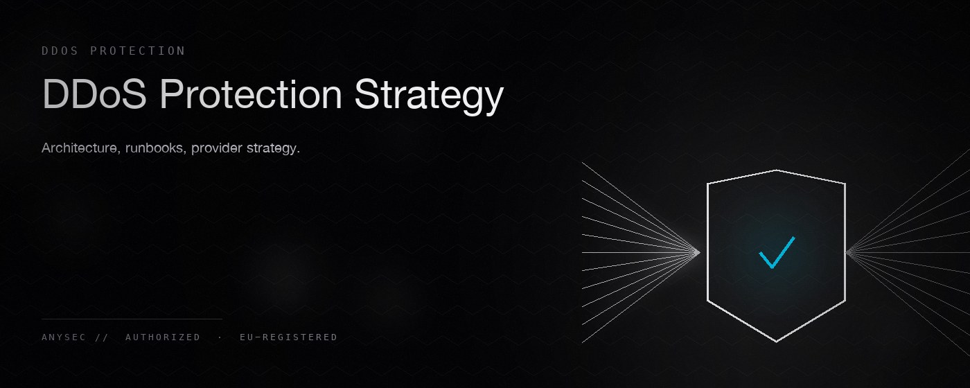 DDoS Protection Strategy — AnySec