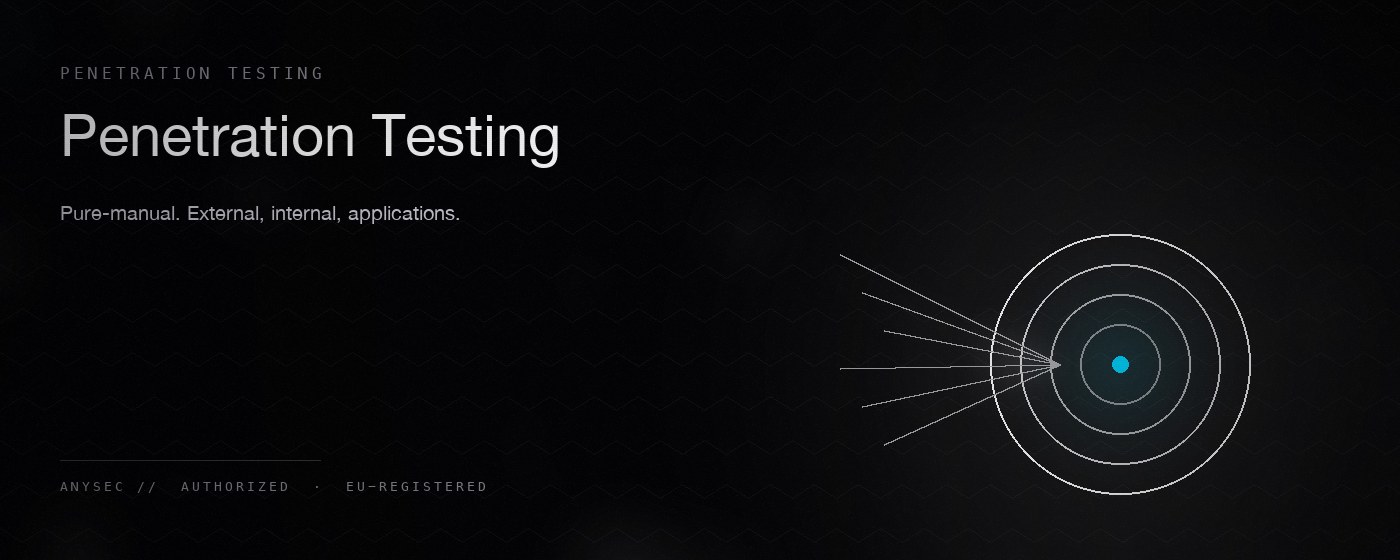 Penetration Testing — AnySec