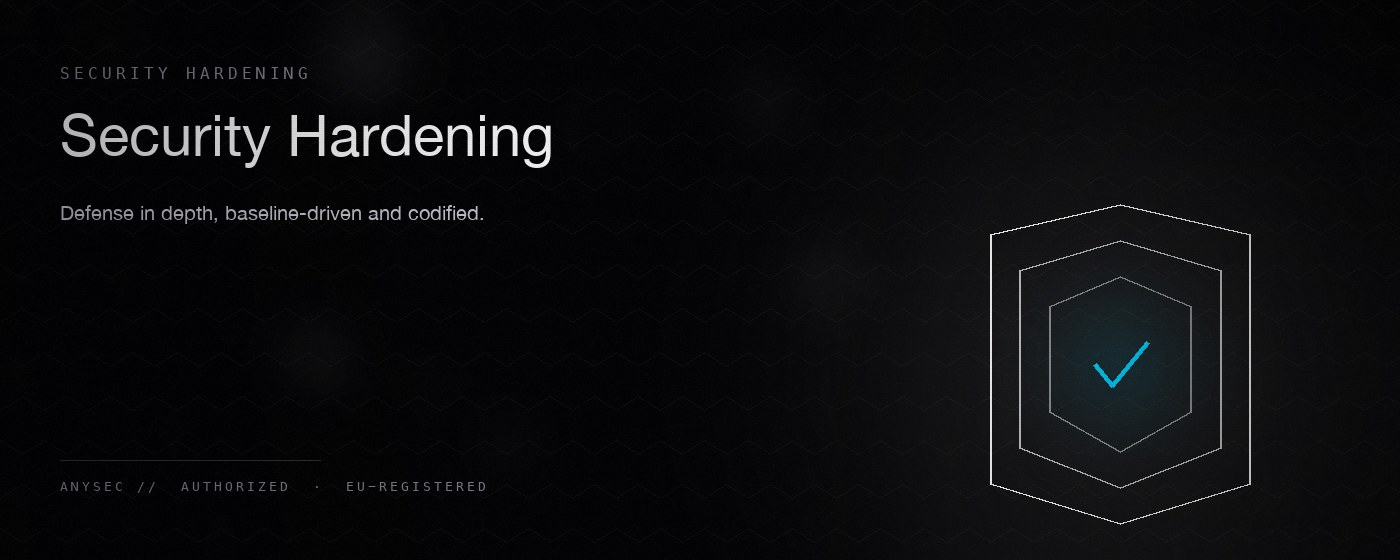 Security Hardening — AnySec