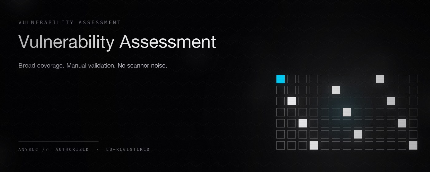 Vulnerability Assessment — AnySec